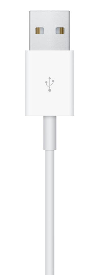 APPLE CABLE CARGA MAGNETICA APPLE WATCH USB-A MW6A3ZM/A 1M