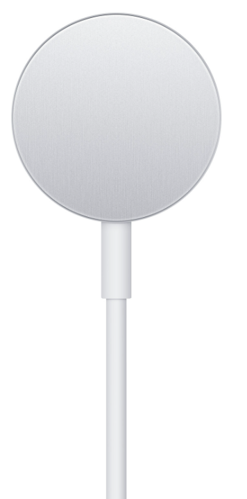 APPLE CABLE CARGA MAGNETICA APPLE WATCH USB-A MW6A3ZM/A 1M